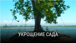 thumb_garden
